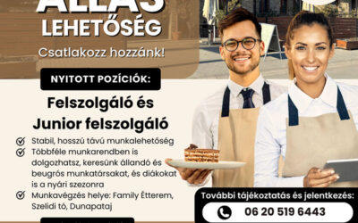 Állásajánlat 2025 március
